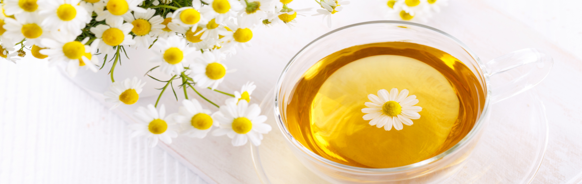 chamomile, tea